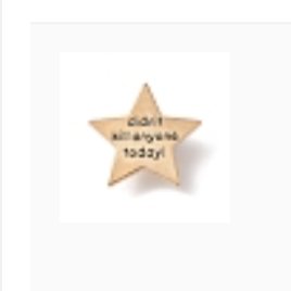 Didn't kill anyone today star pin