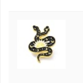 Snake and sun pin