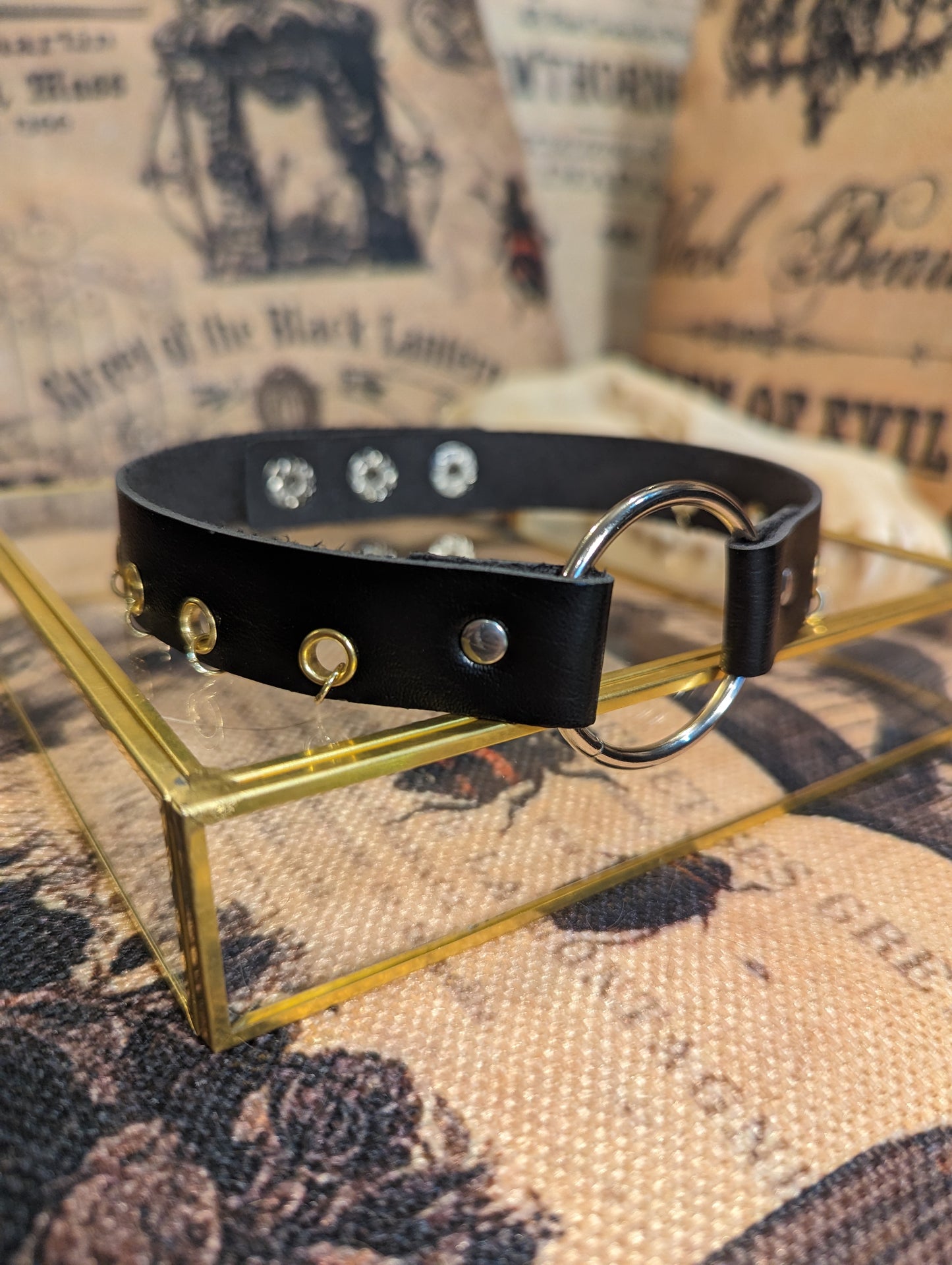 GOLD EYELETS AND RINGS - COLLAR