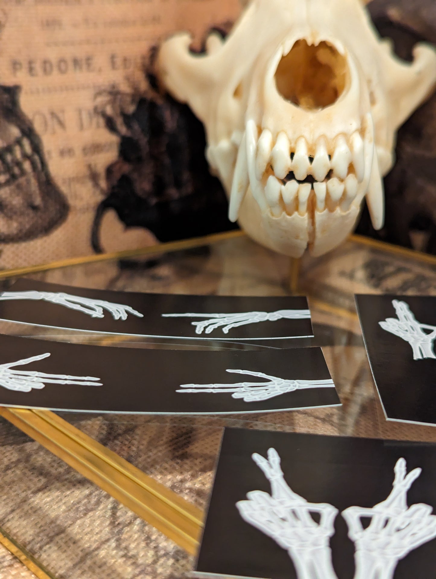 SKELETON HANDS - STICKER PACK