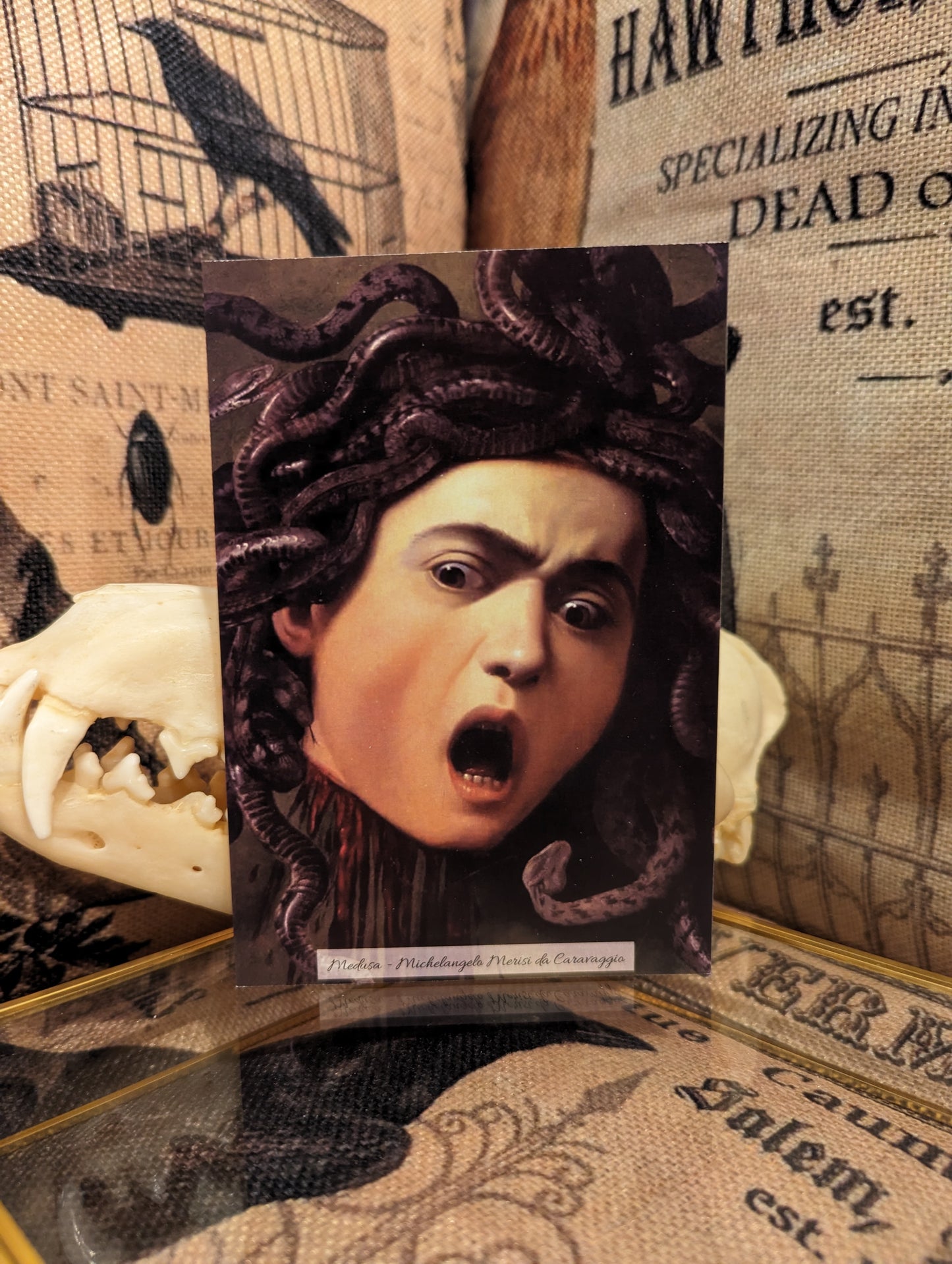 Classic Art Postcards